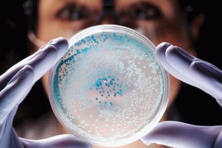 prostatito gydymas antibiotikais